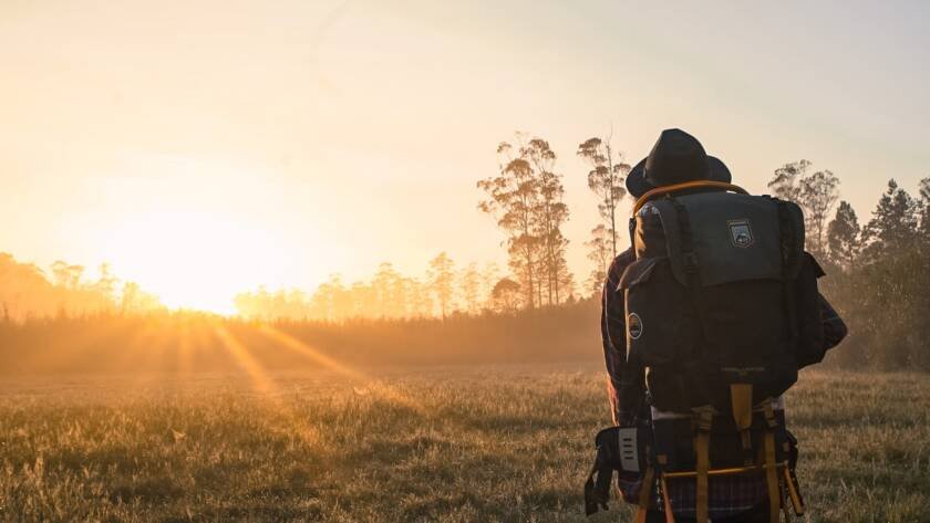 Conhecendo o ISFP: O Tipo de Personalidade Aventureiro